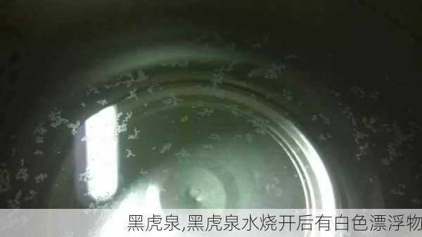 黑虎泉,黑虎泉水烧开后有白色漂浮物-第3张图片-小艾出游网