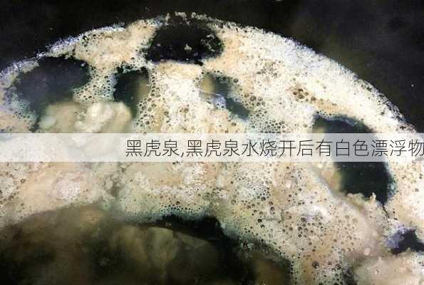 黑虎泉,黑虎泉水烧开后有白色漂浮物-第2张图片-小艾出游网