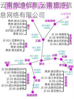 云南旅游信息,云南旅游信息网络有限公司-第3张图片-小艾出游网