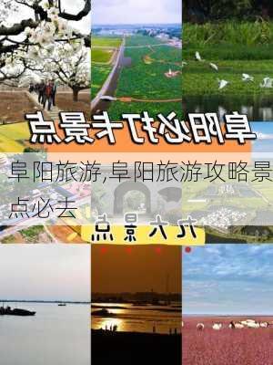 阜阳旅游,阜阳旅游攻略景点必去-第2张图片-小艾出游网