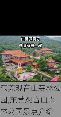 东莞观音山森林公园,东莞观音山森林公园景点介绍