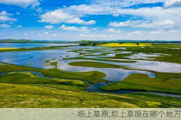 坝上草原,坝上草原在哪个地方-第1张图片-小艾出游网