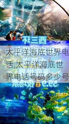 太平洋海底世界电话,太平洋海底世界电话号码多少号-第1张图片-小艾出游网