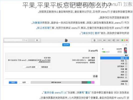 平果,平果平板忘记密码怎么办?-第2张图片-小艾出游网