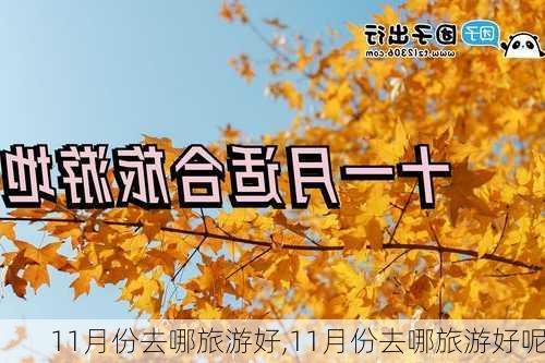 11月份去哪旅游好,11月份去哪旅游好呢-第2张图片-小艾出游网