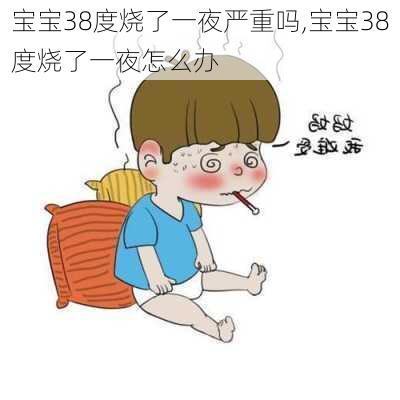 宝宝38度烧了一夜严重吗,宝宝38度烧了一夜怎么办-第2张图片-小艾出游网