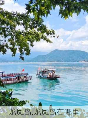 龙凤岛,龙凤岛在哪里