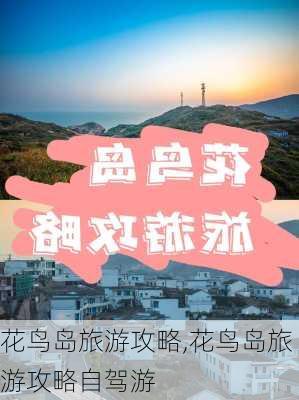 花鸟岛旅游攻略,花鸟岛旅游攻略自驾游