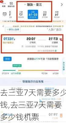去三亚7天需要多少钱,去三亚7天需要多少钱机票-第3张图片-小艾出游网