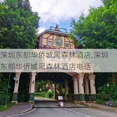 深圳东部华侨城黑森林酒店,深圳东部华侨城黑森林酒店电话-第3张图片-小艾出游网