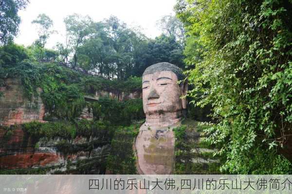 四川的乐山大佛,四川的乐山大佛简介-第3张图片-小艾出游网