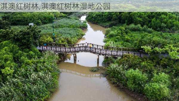 淇澳红树林,淇澳红树林湿地公园-第3张图片-小艾出游网