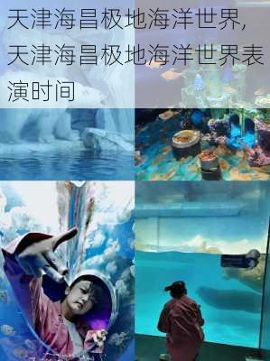 天津海昌极地海洋世界,天津海昌极地海洋世界表演时间-第2张图片-小艾出游网