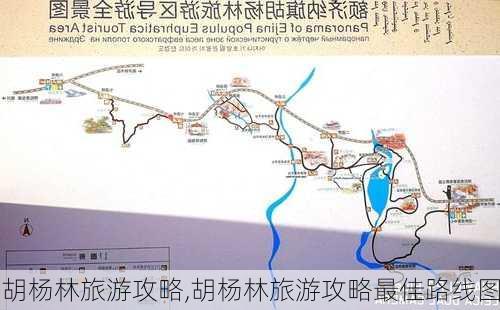 胡杨林旅游攻略,胡杨林旅游攻略最佳路线图-第3张图片-小艾出游网