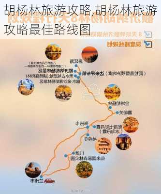 胡杨林旅游攻略,胡杨林旅游攻略最佳路线图-第2张图片-小艾出游网