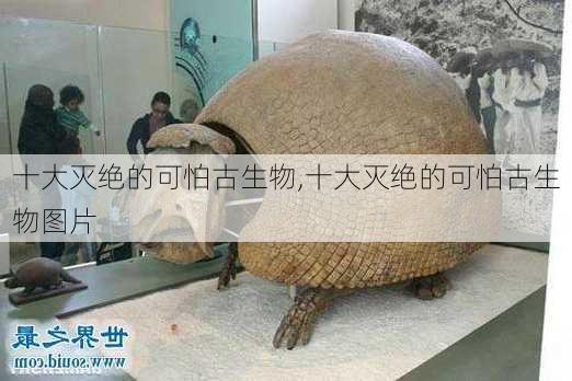 十大灭绝的可怕古生物,十大灭绝的可怕古生物图片-第1张图片-小艾出游网