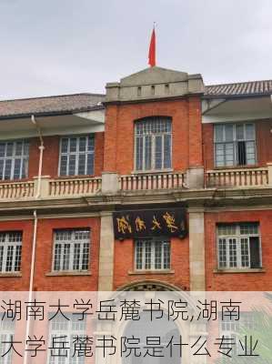 湖南大学岳麓书院,湖南大学岳麓书院是什么专业