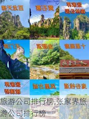 旅游公司排行榜,张家界旅游公司排行榜