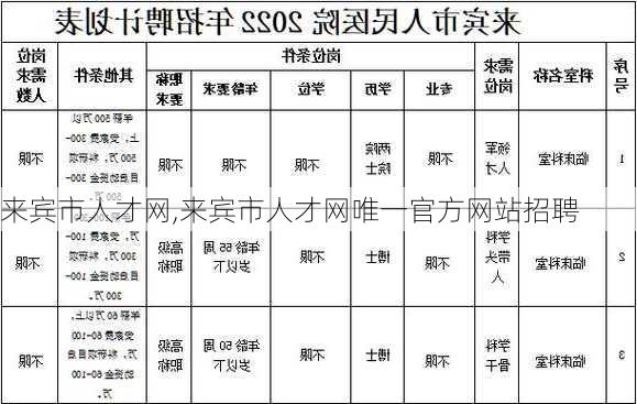 来宾市人才网,来宾市人才网唯一官方网站招聘-第3张图片-小艾出游网