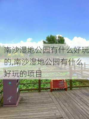 南沙湿地公园有什么好玩的,南沙湿地公园有什么好玩的项目