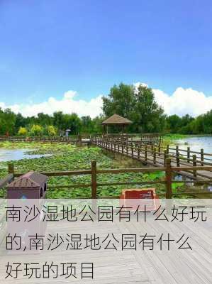 南沙湿地公园有什么好玩的,南沙湿地公园有什么好玩的项目