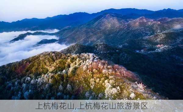 上杭梅花山,上杭梅花山旅游景区