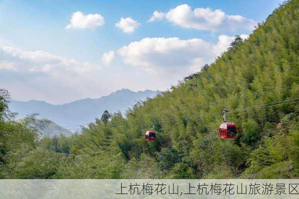 上杭梅花山,上杭梅花山旅游景区-第3张图片-小艾出游网