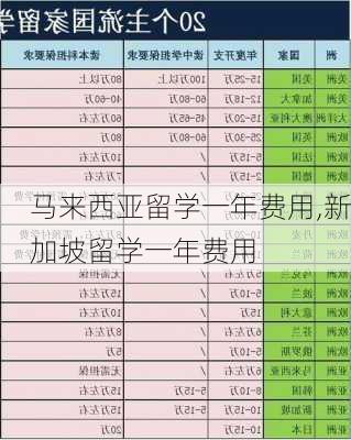 马来西亚留学一年费用,新加坡留学一年费用-第3张图片-小艾出游网