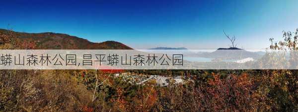 蟒山森林公园,昌平蟒山森林公园-第2张图片-小艾出游网