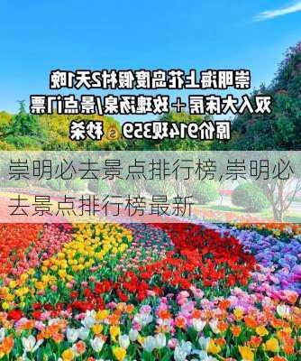 崇明必去景点排行榜,崇明必去景点排行榜最新