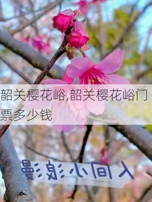 韶关樱花峪,韶关樱花峪门票多少钱