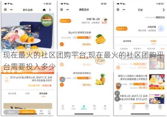 现在最火的社区团购平台,现在最火的社区团购平台需要投入多少
