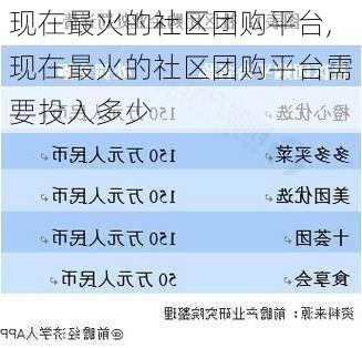 现在最火的社区团购平台,现在最火的社区团购平台需要投入多少-第3张图片-小艾出游网