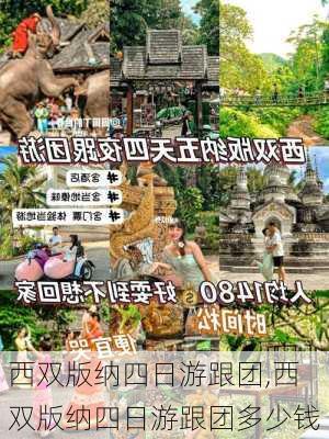 西双版纳四日游跟团,西双版纳四日游跟团多少钱-第3张图片-小艾出游网