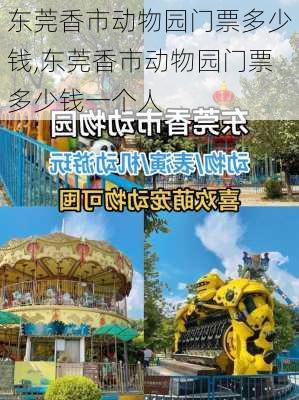 东莞香市动物园门票多少钱,东莞香市动物园门票多少钱一个人