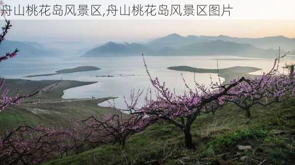 舟山桃花岛风景区,舟山桃花岛风景区图片-第3张图片-小艾出游网