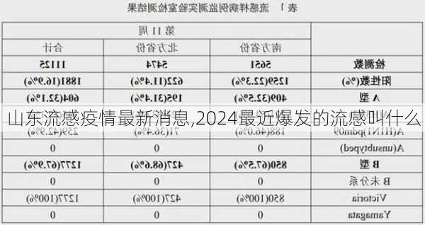 山东流感疫情最新消息,2024最近爆发的流感叫什么-第1张图片-小艾出游网