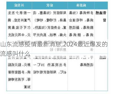 山东流感疫情最新消息,2024最近爆发的流感叫什么-第3张图片-小艾出游网