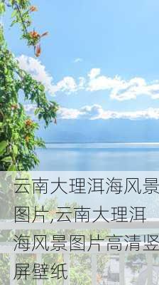 云南大理洱海风景图片,云南大理洱海风景图片高清竖屏壁纸-第3张图片-小艾出游网