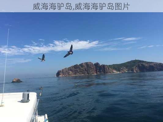 威海海驴岛,威海海驴岛图片