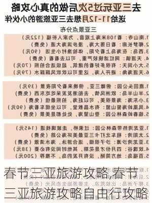 春节三亚旅游攻略,春节三亚旅游攻略自由行攻略-第3张图片-小艾出游网