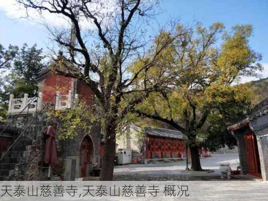 天泰山慈善寺,天泰山慈善寺 概况-第3张图片-小艾出游网