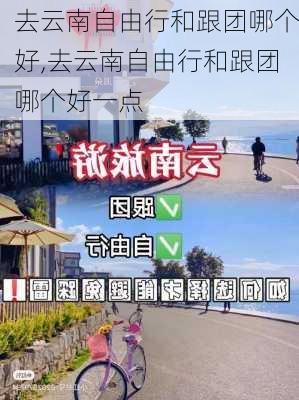 去云南自由行和跟团哪个好,去云南自由行和跟团哪个好一点-第2张图片-小艾出游网