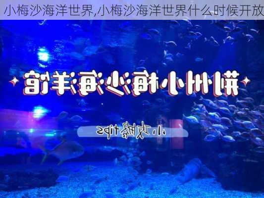 小梅沙海洋世界,小梅沙海洋世界什么时候开放