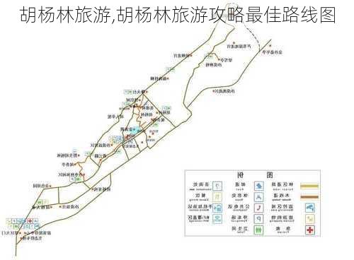 胡杨林旅游,胡杨林旅游攻略最佳路线图-第3张图片-小艾出游网