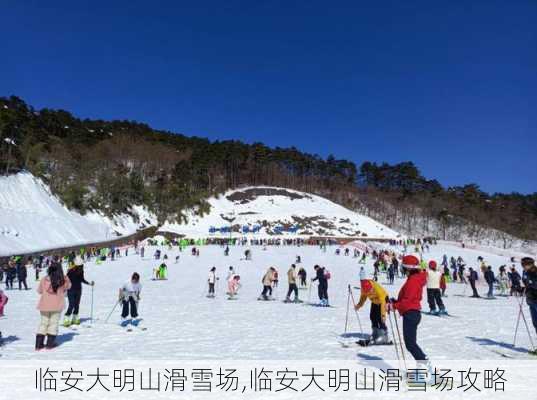 临安大明山滑雪场,临安大明山滑雪场攻略-第2张图片-小艾出游网