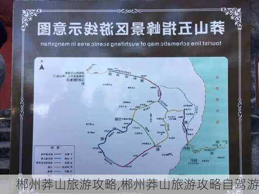 郴州莽山旅游攻略,郴州莽山旅游攻略自驾游-第3张图片-小艾出游网