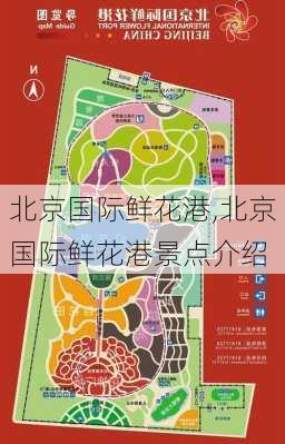 北京国际鲜花港,北京国际鲜花港景点介绍-第3张图片-小艾出游网