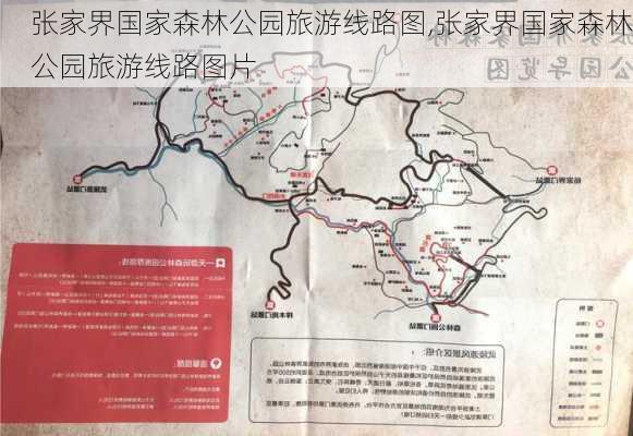 张家界国家森林公园旅游线路图,张家界国家森林公园旅游线路图片-第3张图片-小艾出游网