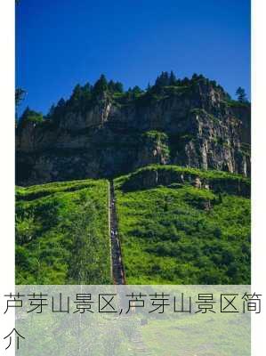 芦芽山景区,芦芽山景区简介-第3张图片-小艾出游网